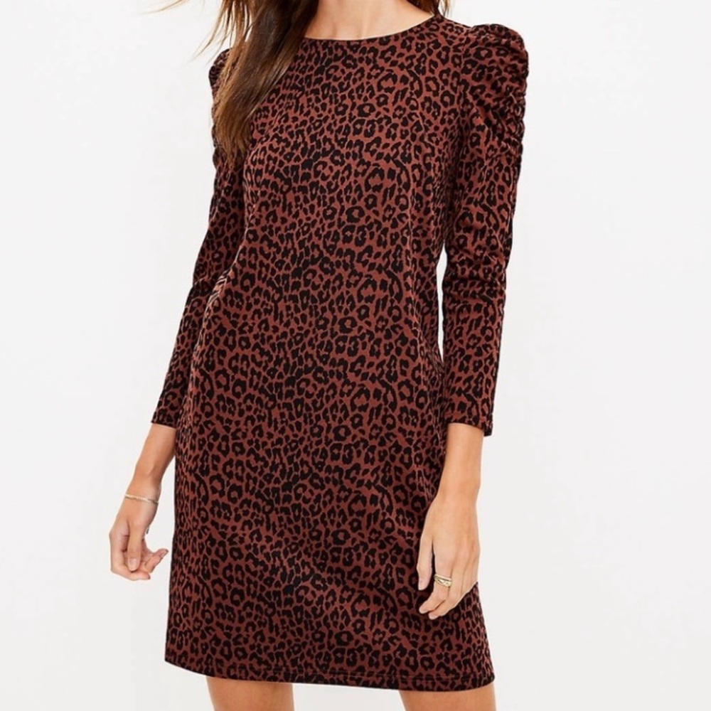 Loft leopard print dress sz  XXL